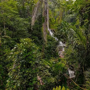 https://the-sebali-resort.ubudhotelsnow.com
